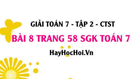 Giải bài 8 trang 58 Toán 7 tập 2 SGK Chân trời sáng tạo